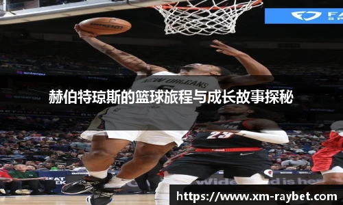 雷竞技官网入口